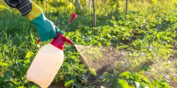 Sistemik Pestisitler Nedir?